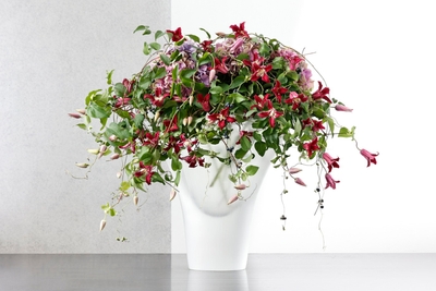 VMISAv5yDpKLMovFO5Ac.jpg?w=940&h=940