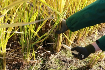 VMa5GKUfLx6jyd8NJ9Dz.jpg?w=940&h=940