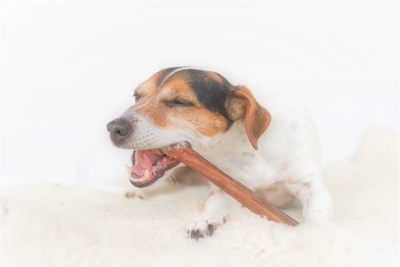 VN6nvExPrKp9ZVVs0dYV.jpeg?w=940&h=940