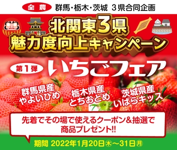 VOr9LHWgY2ydIBb9M4FV.jpg?w=940&h=940