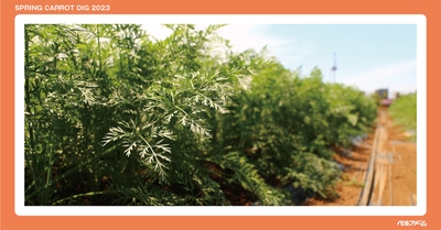 VPwba4prLlFoZ9Vuvsuc.jpg?w=940&h=940