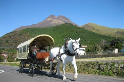 VQ8ZscvgU4RTwOQSlNbT.jpg?w=940&h=940