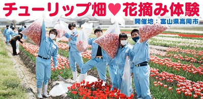 VQQkBba4rGZqw41w9pLj.jpg?w=940&h=940