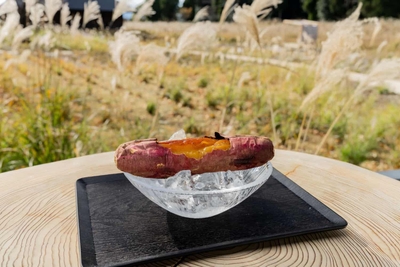 VRIxhL5A782gwPxXozr5.jpg?w=940&h=940