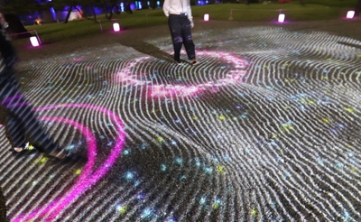 プロジェクション （昨年の様子）