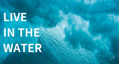 VToHCHC2u398U8wd8eOJ.jpg?w=940&h=940