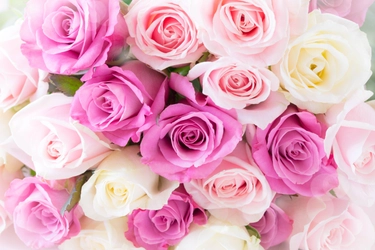 【予約受付中】美しく喜びに輝く「大人の女性塾ヴィーナス」感動ストーリー！YouTubeもぜひ見比べてくださいね♬