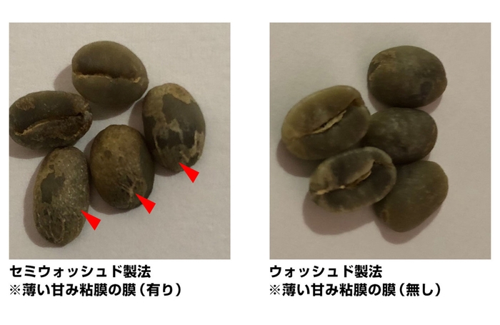 セミウォッシュド製法