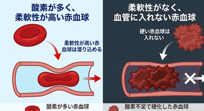 VVeOj7LX0SfVWJlo2ZUA.png?w=940&h=940