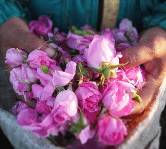 VXRR2ZNH1tfUvoXw1Unp.png?w=940&h=940