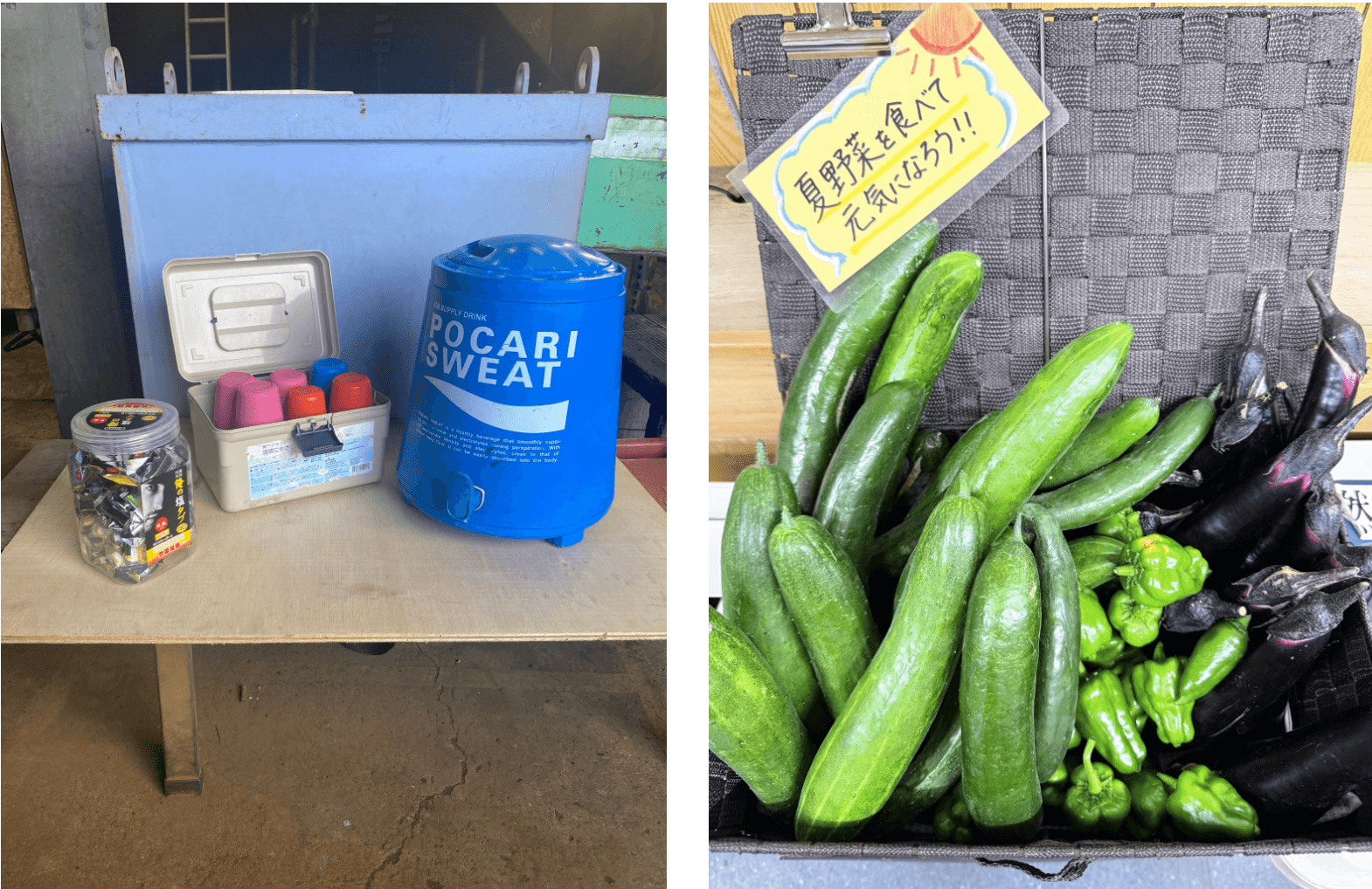 熱中症対策と自家栽培野菜提供
