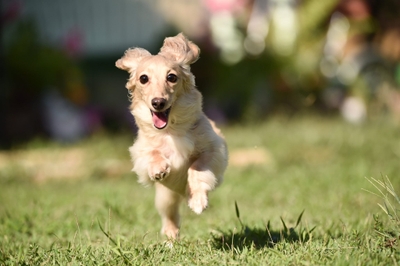 VbbTMpmqVMEm6Vc2j9Va.jpeg?w=940&h=940