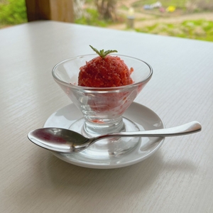 白浜いちご狩りセンターのよつぼし（苺）のシャーベット