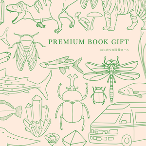 VeRA5Sw93VA80tWZkSTk.png?w=940&h=940