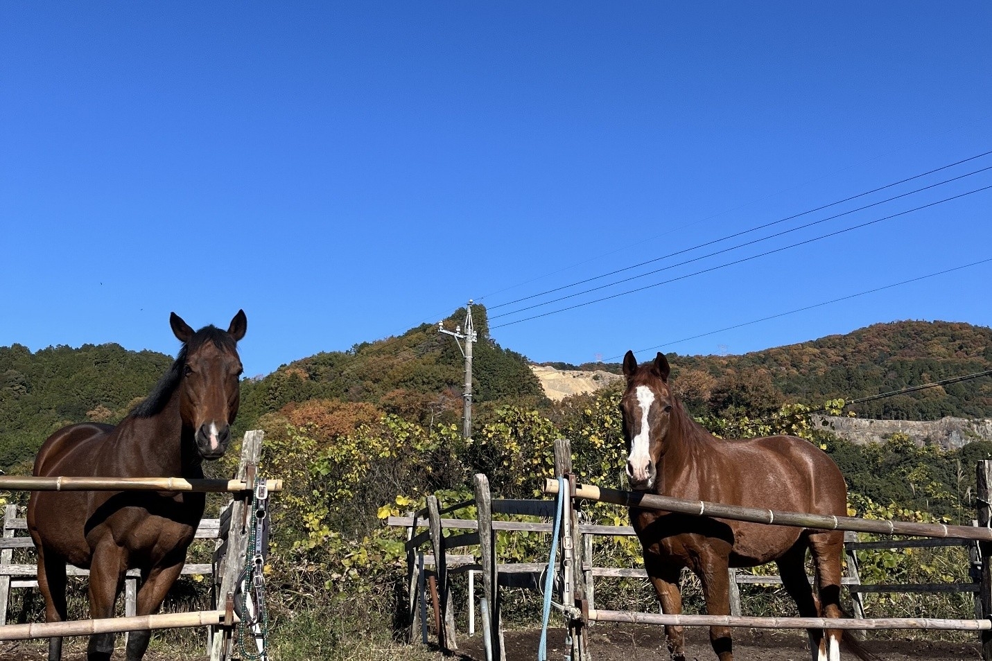 ヘイハチロウファームと進める「応援する気持ち」を支援に変える新業務提携