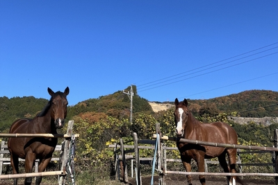 Vf719OvEKeudkGIv5YZh.jpeg?w=940&h=940