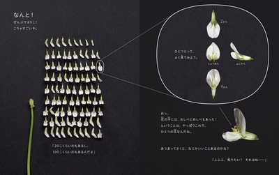 VfHwOSCzncJ6L13ZEqWq.jpg?w=940&h=940