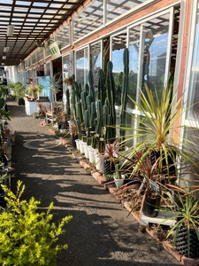 Vfh64jRbexxEEu9AnxkM.jpg?w=940&h=940