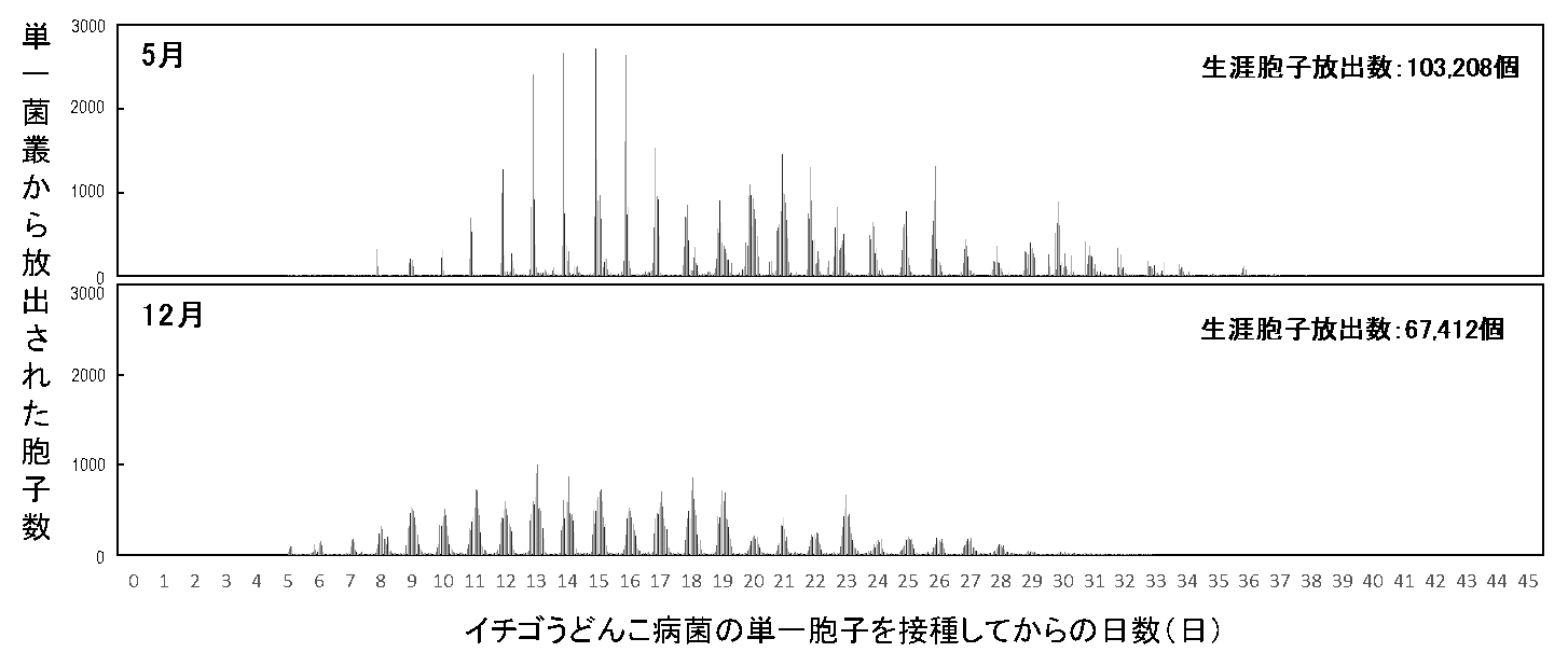 図1 静電気胞子回収装置を用いたイチゴうどんこ病菌(KSP-7N)の単一菌叢における生涯胞子放出数の測定
