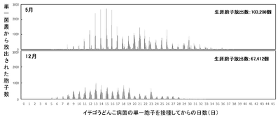 図1　静電気胞子回収装置を用いたイチゴうどんこ病菌（KSP-7N）の単一菌叢における生涯胞子放出数の測定