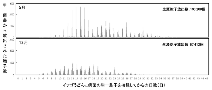 図1 静電気胞子回収装置を用いたイチゴうどんこ病菌(KSP-7N)の単一菌叢における生涯胞子放出数の測定