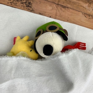 ViPp6KvxGKZzlopsCQBP.jpg?w=940&h=940