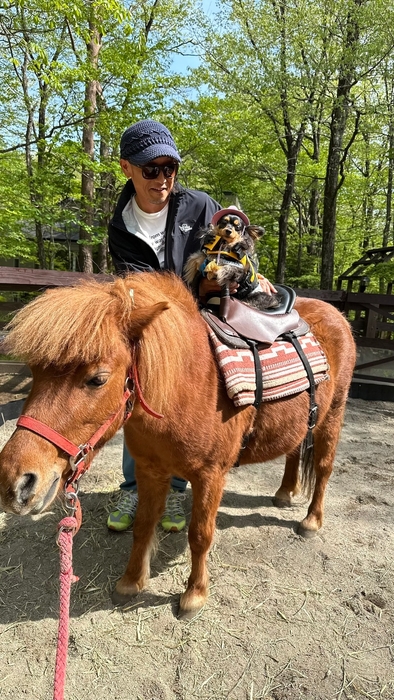 わんちゃんポニー乗馬体験