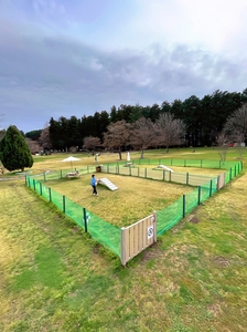 VlRGA5axFk6edYfnyoEo.jpg?w=940&h=940