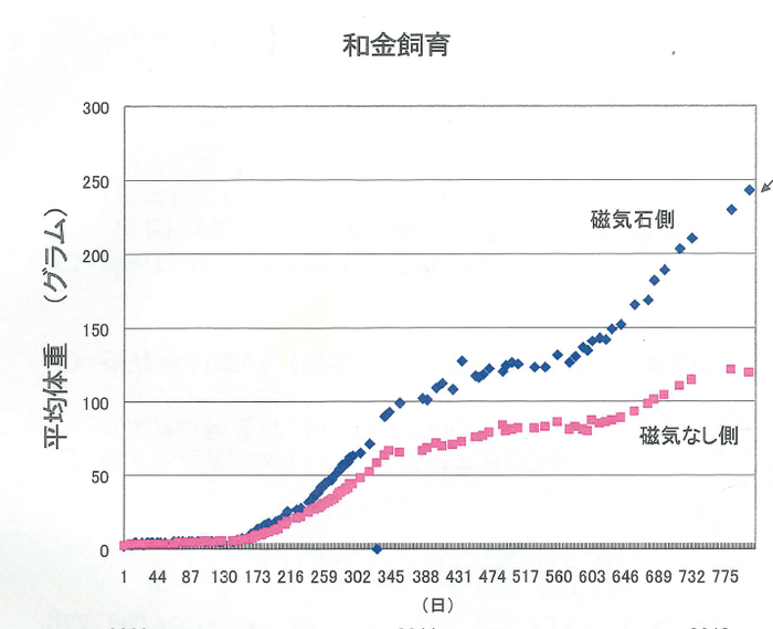 和金飼育実験データ