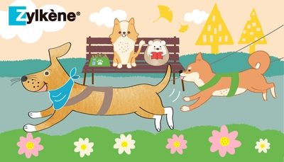 【飼主さま必見】今日もお散歩行きますか？愛犬とのお散歩を楽しむために🐕﻿