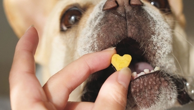 「“わけあえる”しあわせを、一緒に。」 犬と人、どちらにとっても安心して楽しめるおやつを。