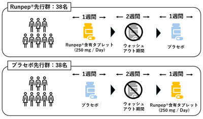 試験の流れ