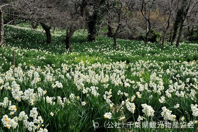 VnLOugOAvgoxSmVOzQxU.jpg?w=940&h=940