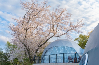 ※オーシャンテラス ＜サクラ＞  外観