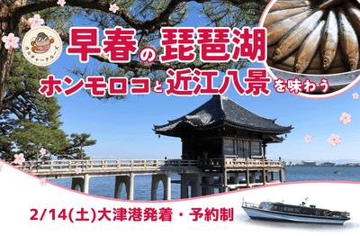 Vp9OtobtOTxl23h2owHi.png?w=940&h=940