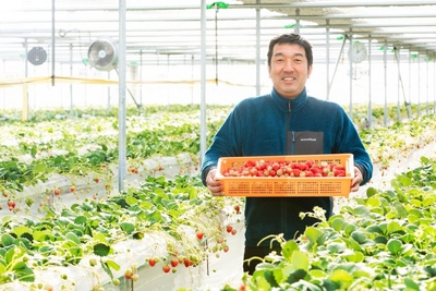 VpWLjOm4Ug9i5ELfe517.jpg?w=940&h=940