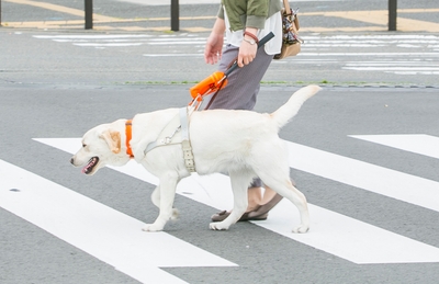 VpjLWZ82cYi8Dt1faKUL.jpg?w=940&h=940