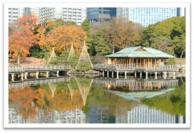 デジタル特典画像（イメージ）