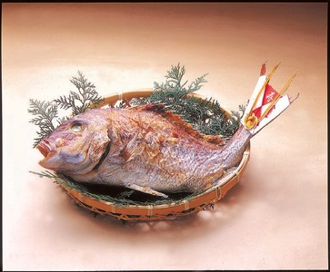 1尾（約45㎝）8,800円