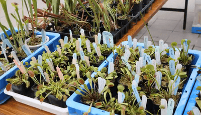 VqSCH0ael6tkPux1GxW6.png?w=940&h=940