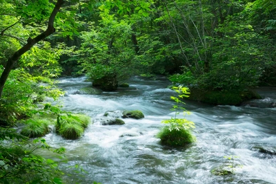 Vqk528Bx0VW1vfIDKv9i.jpg?w=940&h=940