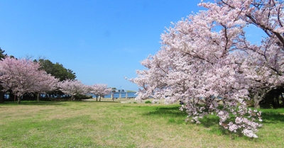 VrUVTlcZ8lR3ulrnJVTI.jpg?w=940&h=940