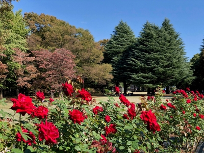 VrWJwOmEX9x9Z322FFAk.jpg?w=940&h=940