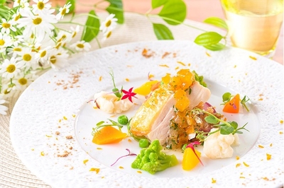 VsqUmDxAkzOA2ISg6Pt4.jpg?w=940&h=940