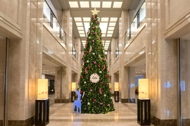 奈良の靴下工場の靴下が、巨大クリスマスツリーを華やかに彩る 「ホテル日航奈良」の20周年記念クリスマスツリーオーナメントに創喜のローゲージソックスが採用