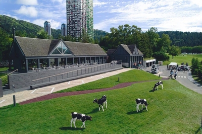 Vt6sOs790NeI2tAEBpKd.jpg?w=940&h=940