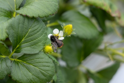 VuwlbZUFs9Igylq81FSy.jpg?w=940&h=940