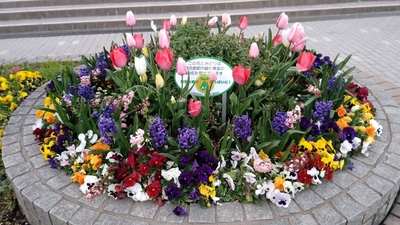 VwGl7sPYo0co0YKX5vF8.jpg?w=940&h=940