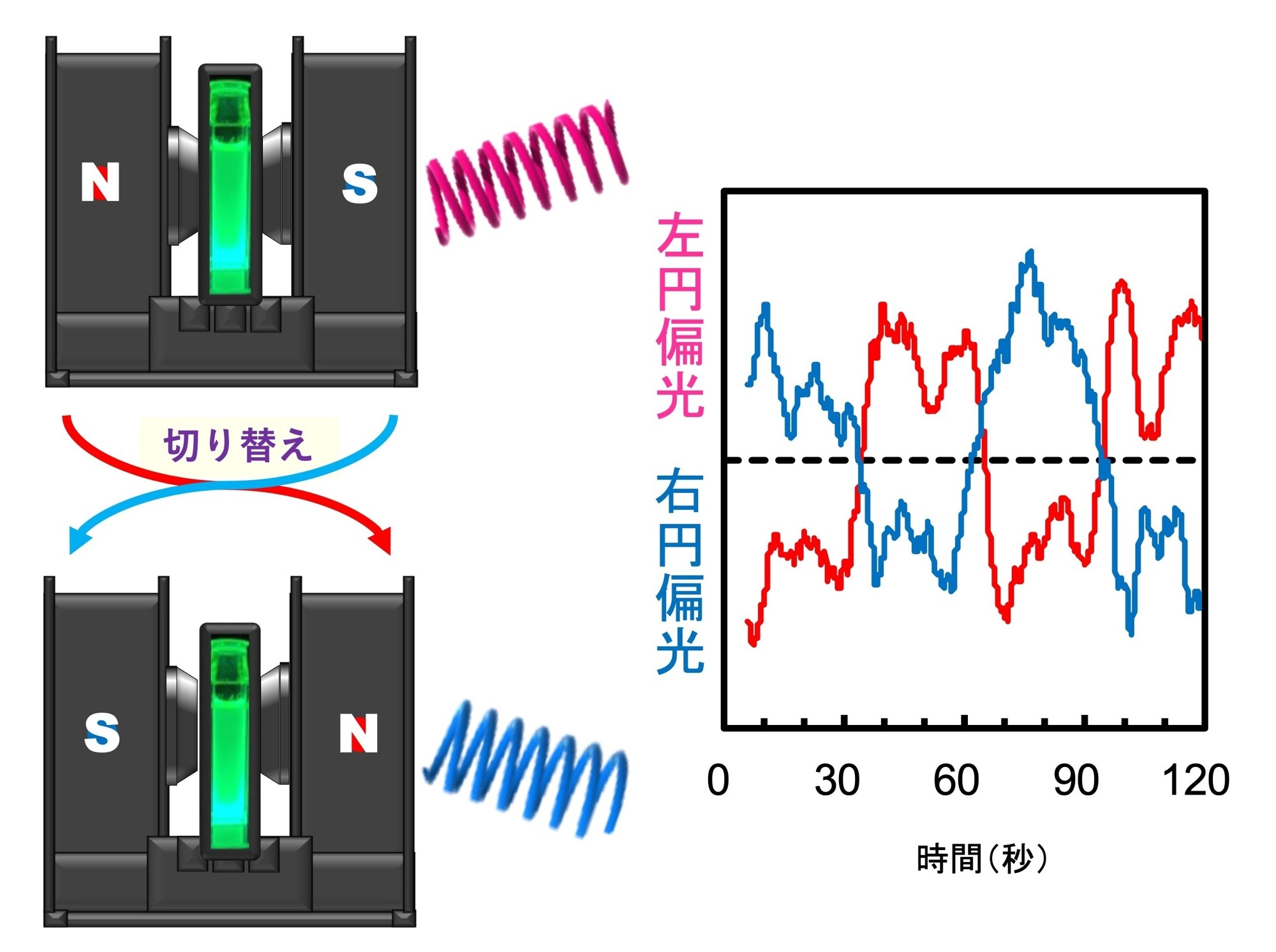 電磁石を用いて、右円偏光・左円偏光を自在に取り出すイメージ図