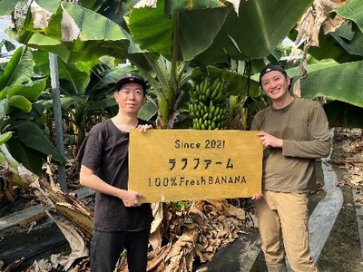 VwwlvUImoa1Ua4DbidSV.jpeg?w=940&h=940